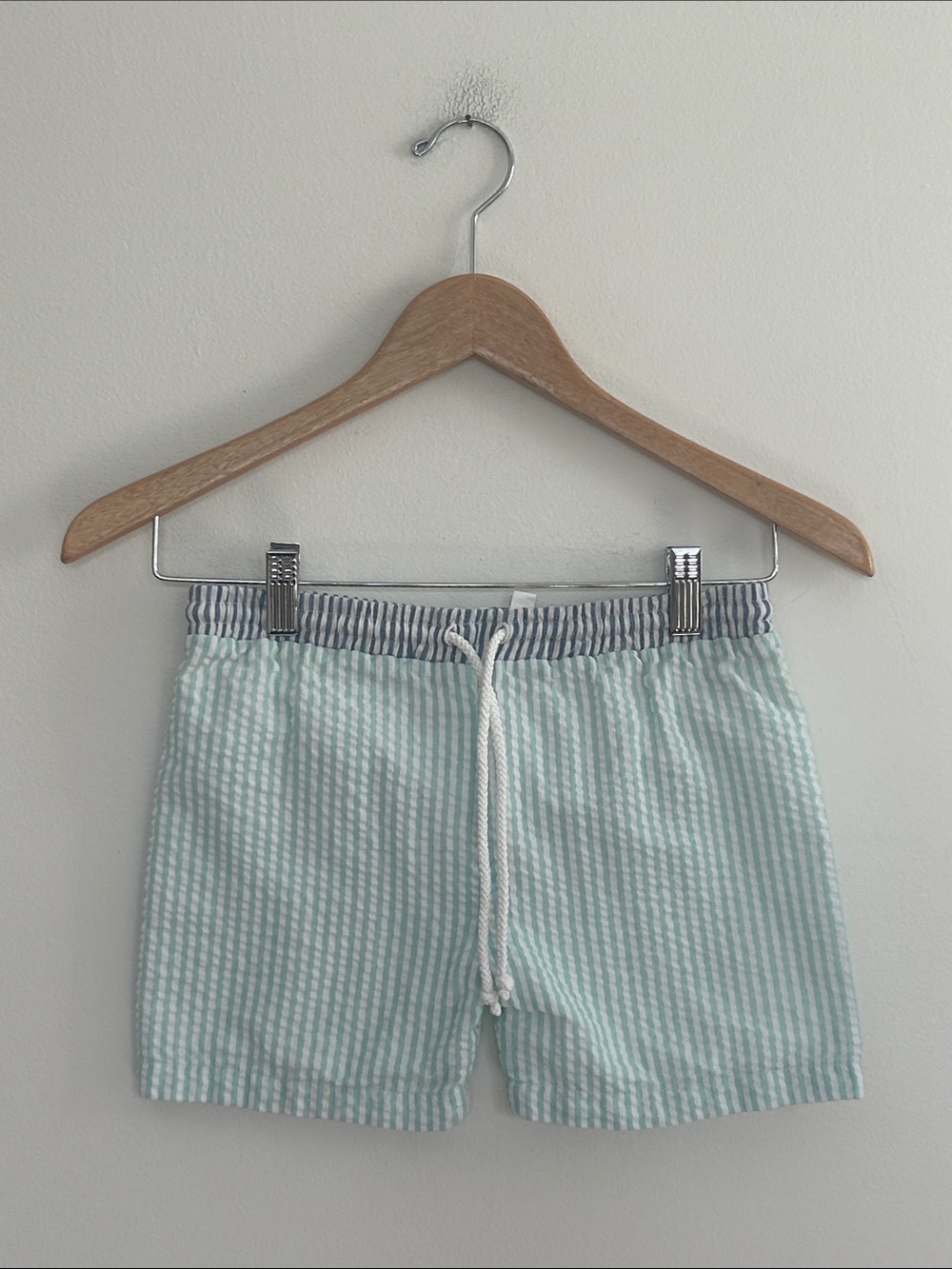 Cecil and Lou Boys Blue & Green Seersucker Swim Trunks Size 4T